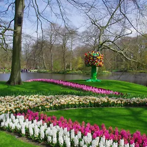 Bed & Breakfast Ineke En John, Hoofddorp